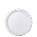 Sugarcane Plate - 22.5cm, s25