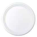 Surgarcane Plate - 25.5cm, s25
