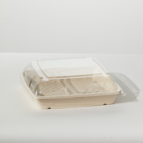 Unbleached Sugarcane Platter 12" with Lid s25