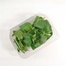 Clear Hinged Lid Cont. Salad, RPET Cont, Small, 170x123x63mm,s125