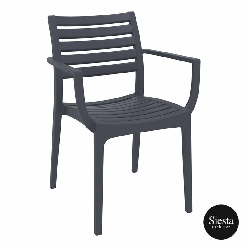 Artemis Armchair - Anthracite