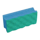 Scourer - Puractive Blue - p10 (FL891)